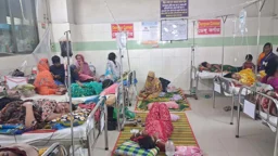 ঢামেকে ডেঙ্গু রোগীর চাপ, সামাল দিতে পারছেন না চিকিৎসকরা 