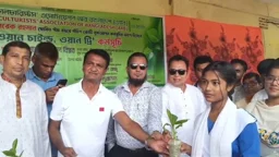 মনোহরদীতে বৃক্ষরোপণ কর্মসূচি পালিত