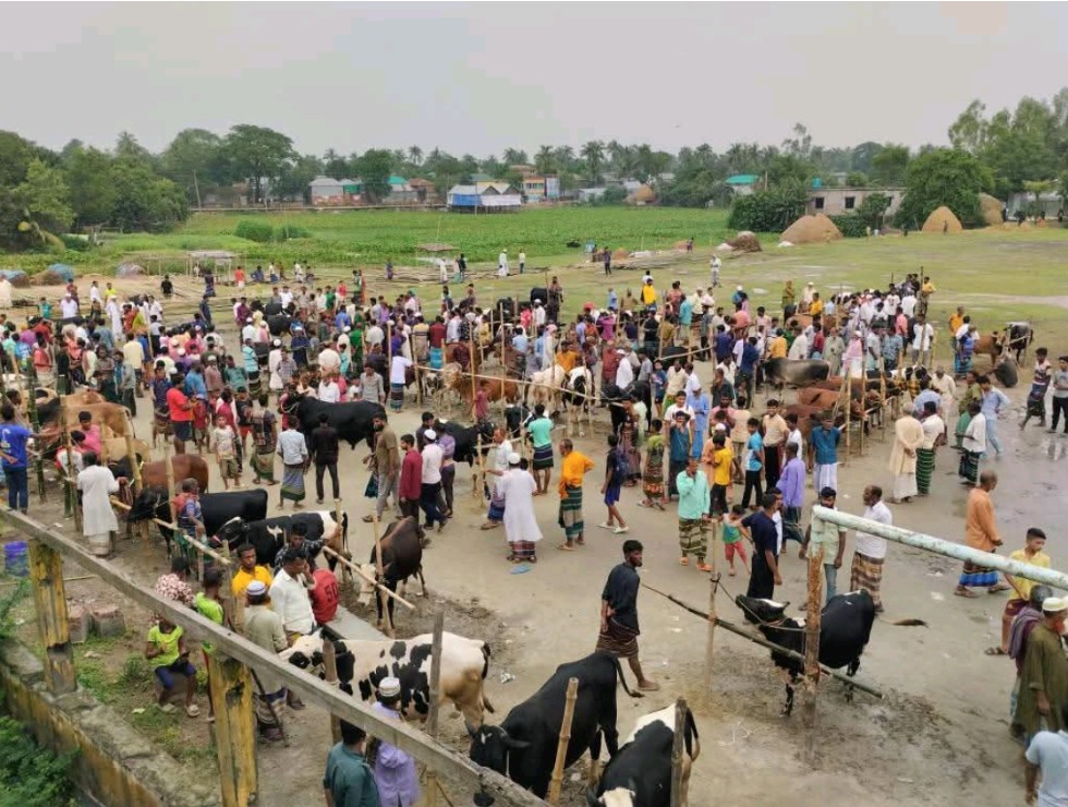গরুর হাট