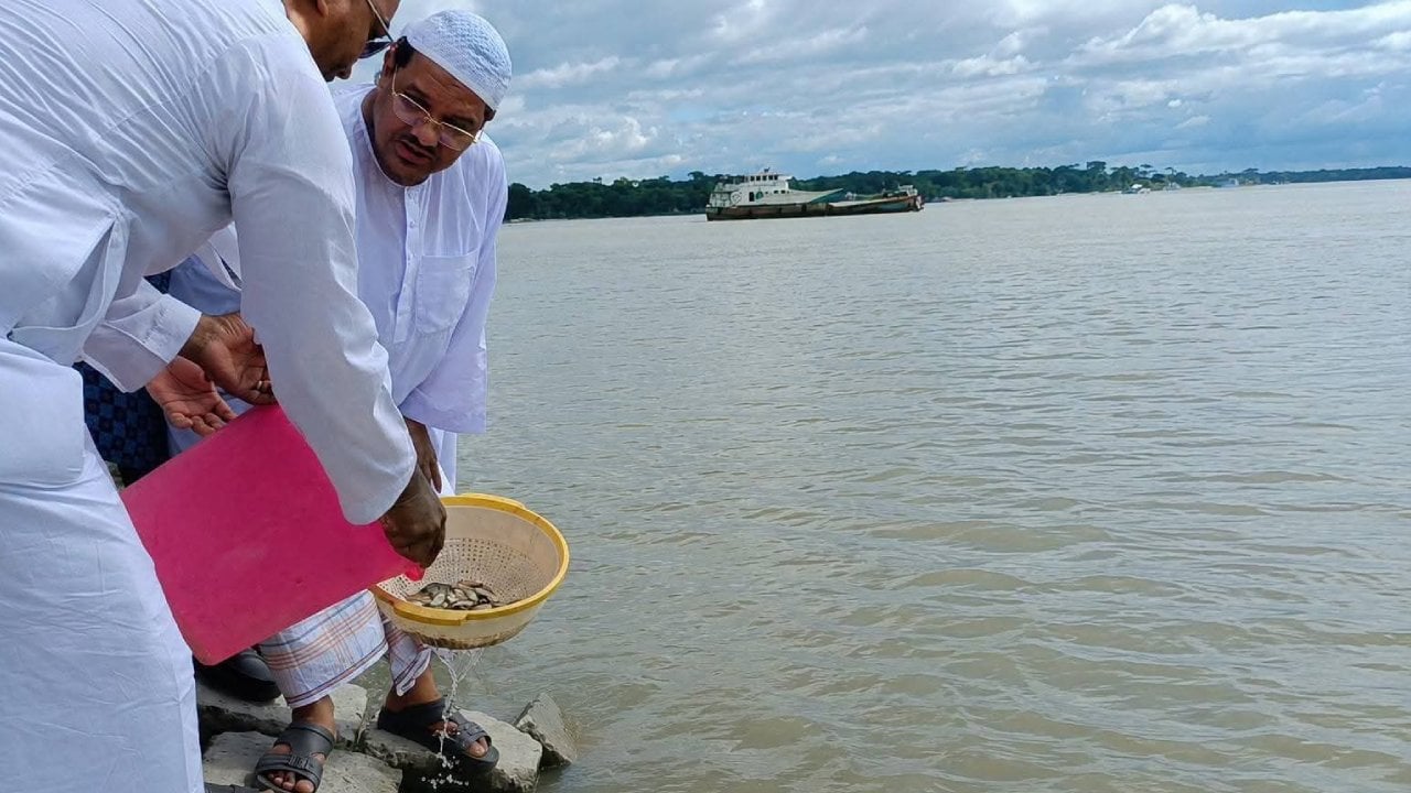 পরিবেশ ও জীববৈচিত্র্য রক্ষায় সবাইকে এগিয়ে আসার আহ্বান চরমোনাই পীরের