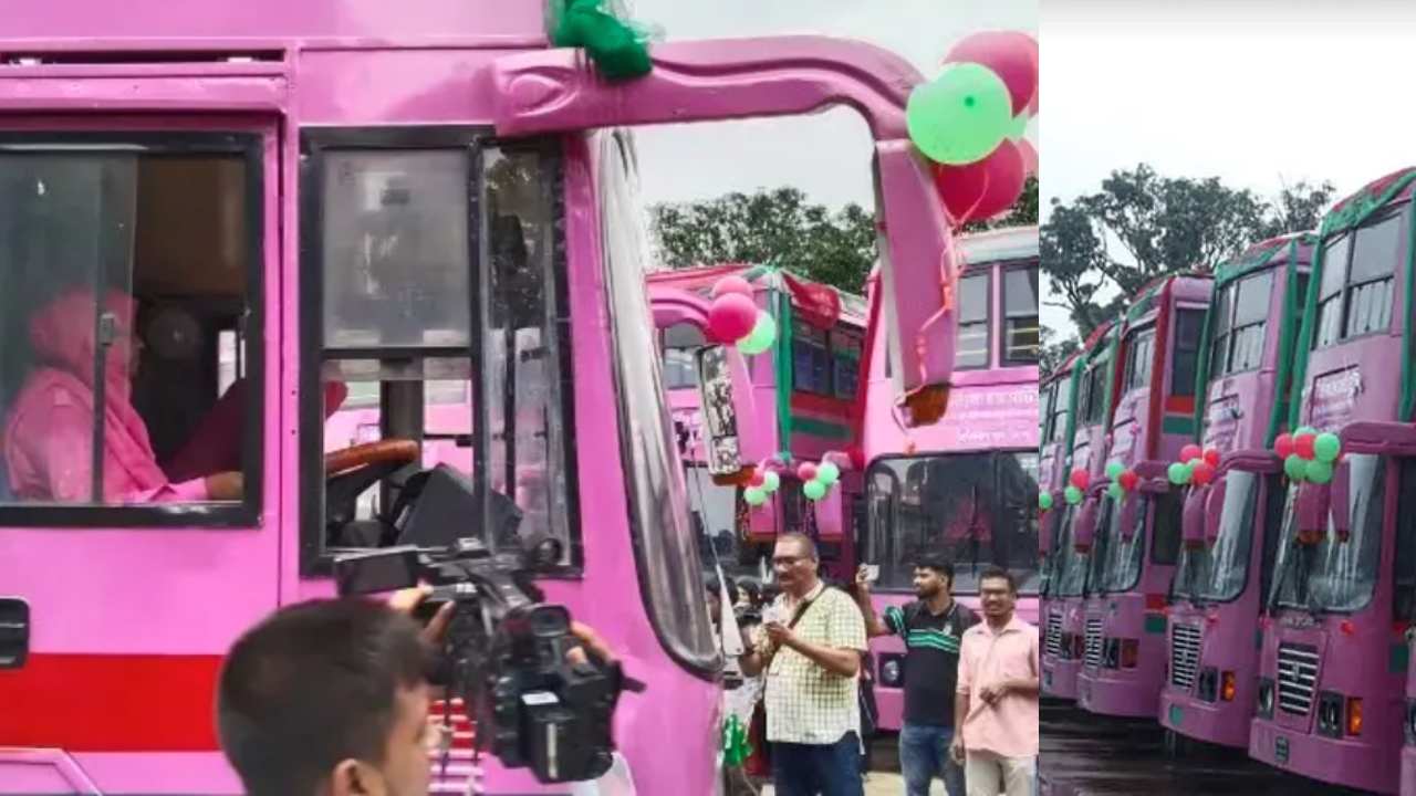 নারীদের জন্য চালু হলো ‘পিংক বাস’ 