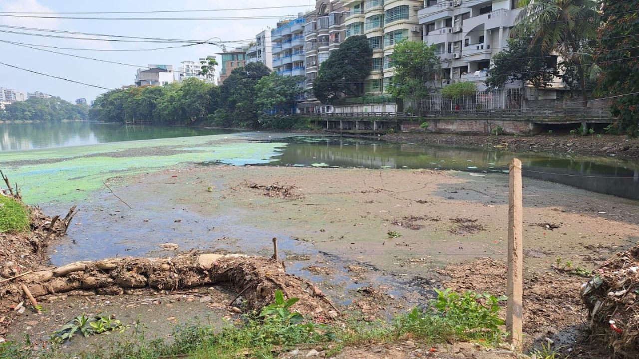 গুলশান লেকে দূষণ, দুর্গন্ধে টেকা দায়