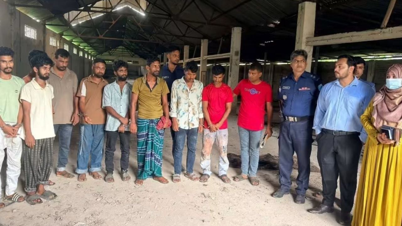 হোটেলে সরবরাহের জন্য ১৩ ঘোড়া জবাই, ৯ জনের কারাদণ্ড
