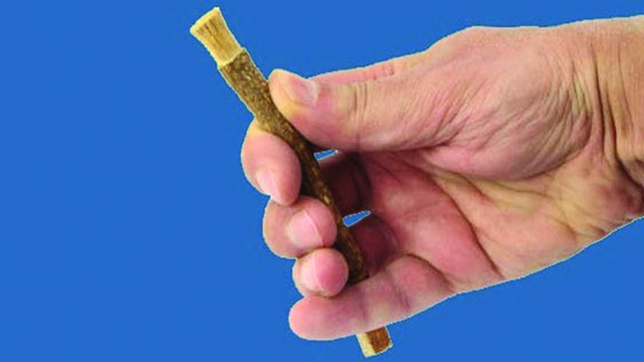 মেসওয়াক করার গুরুত্ব ও ফজিলত