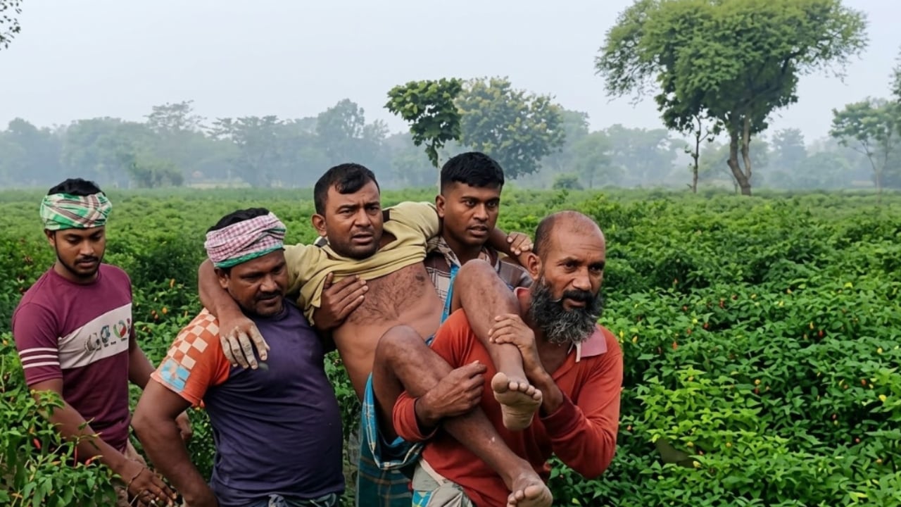 কুষ্টিয়া সীমান্তে বিএসএফের গুলিতে বাংলাদেশি আহত