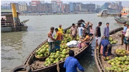 ৩০ টাকার ডাব যেভাবে ঢাকায় এসে হয়ে যায় ২০০ টাকা