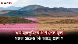
আতাকামার এই রহস্য কি মঙ্গলে প্রাণের ইঙ্গিত?