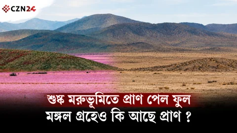 
আতাকামার এই রহস্য কি মঙ্গলে প্রাণের ইঙ্গিত?