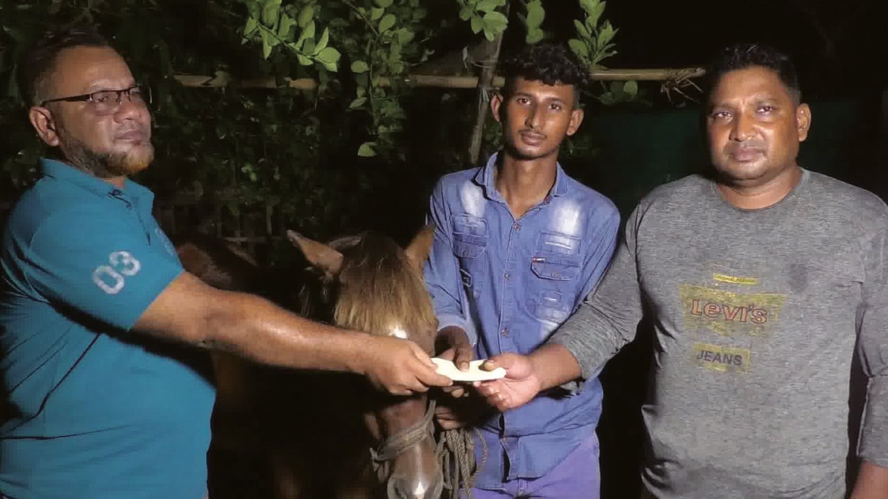 অন্ধ ঘোড়াকে আশ্রয় দেওয়া কলেজছাত্র পেলেন প্রধানমন্ত্রীর উপহার