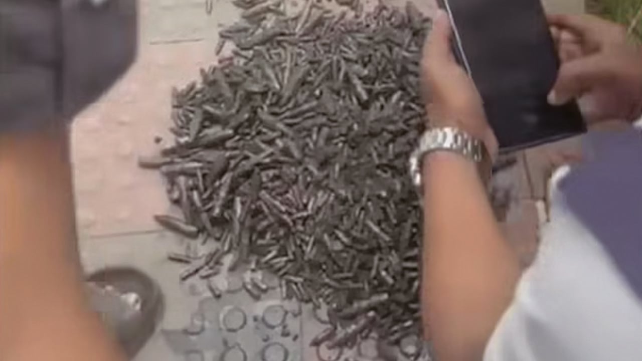 নালা থেকে ১ হাজার ৩২০টি গুলি উদ্ধার