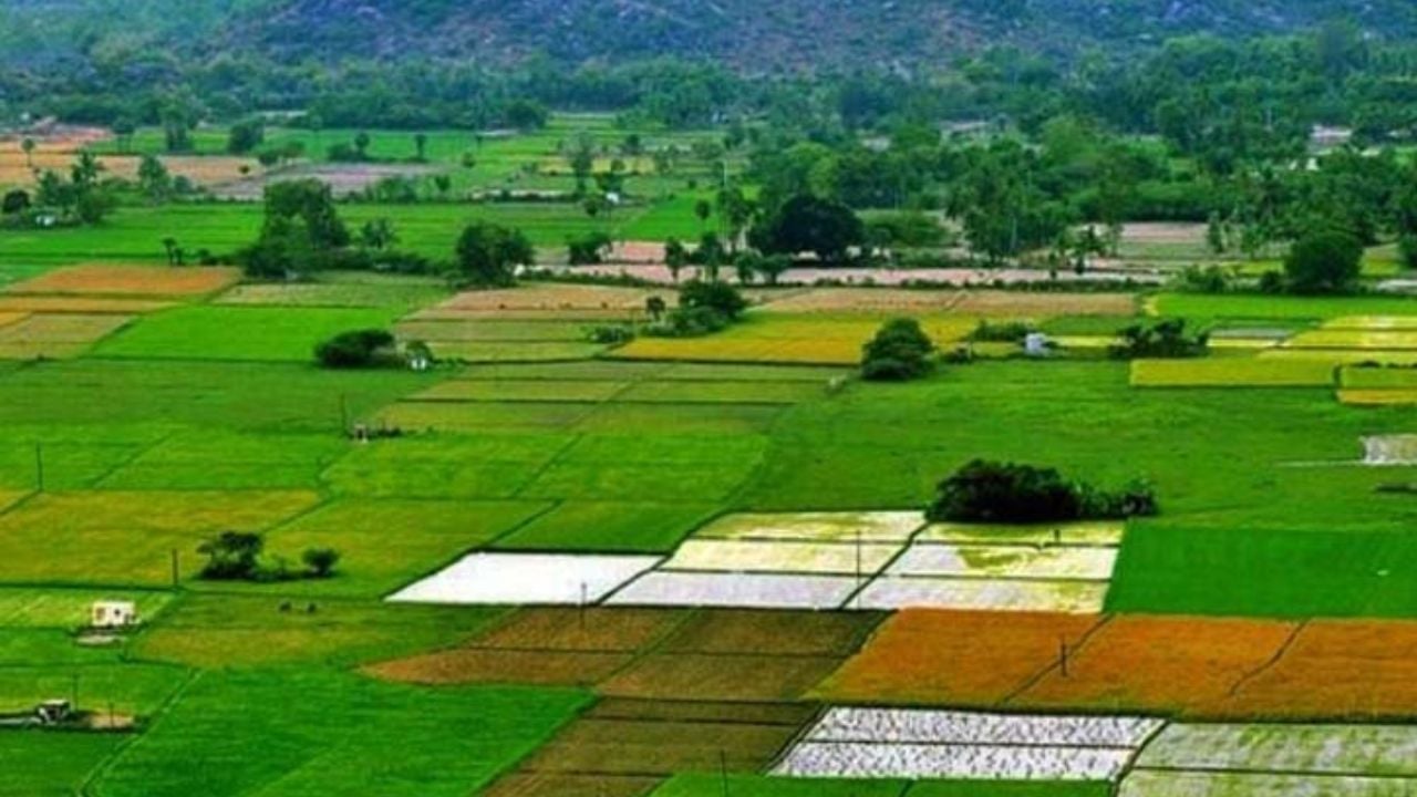 জমির নামজারিতে পরিবর্তন, যা জানা জরুরি