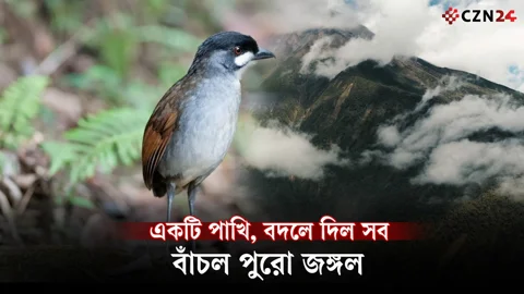 একটি পাখির জন্য বাঁচল পুরো জঙ্গল! ইকুয়েডরের অবিশ্বাস্য গল্প