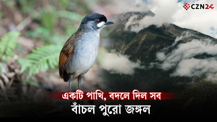 একটি পাখির জন্য বাঁচল পুরো জঙ্গল! ইকুয়েডরের অবিশ্বাস্য গল্প