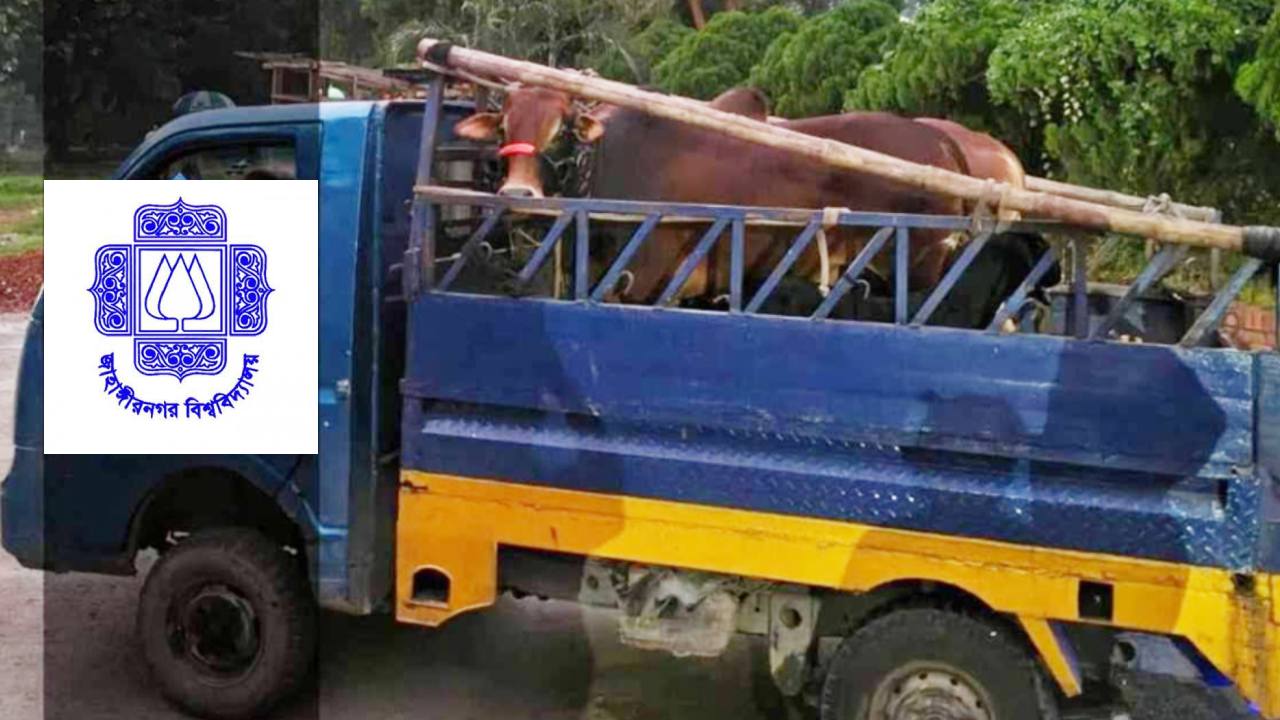 জোড়া গরু জবাই করে জাবির নতুন উপাচার্য ও উপ-উপাচার্যদের সংবর্ধনা