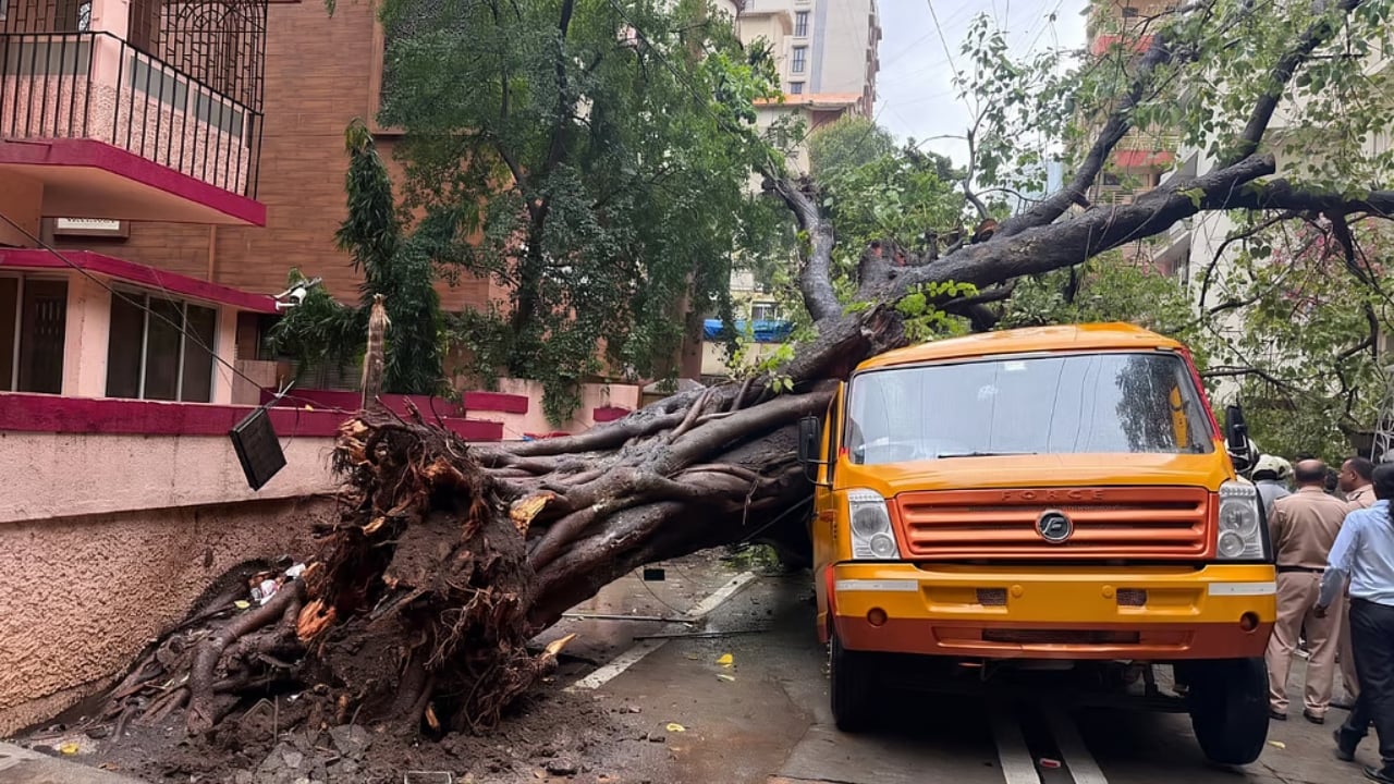 মুম্বাইয়ে স্কুল বাসের ওপর ভেঙে পড়লো গাছ, হতাহত ১১ 