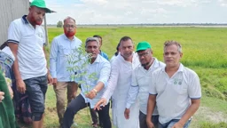বজ্রপাতের ঝুঁকি কমাতে চরাঞ্চলে বৃক্ষরোপণের উদ্যোগ