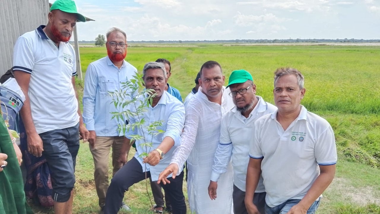 বজ্রপাতের ঝুঁকি কমাতে চরাঞ্চলে বৃক্ষরোপণের উদ্যোগ