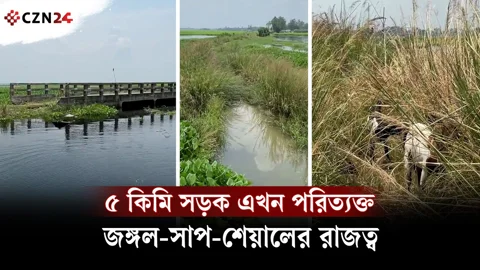 
১৩ বছর সংস্কার নেই! জঙ্গলে হারিয়ে গেছে পাবনার ব্যস্ত সড়ক