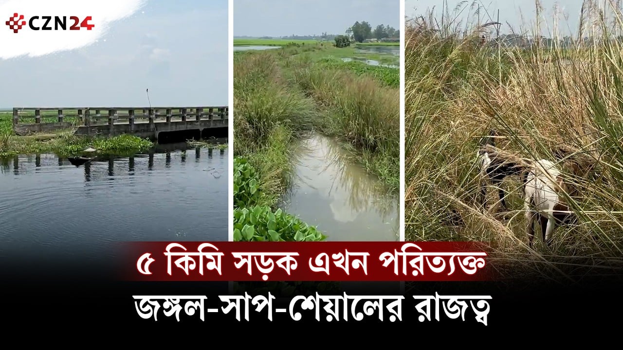 ১৩ বছর সংস্কার নেই! জঙ্গলে হারিয়ে গেছে পাবনার ব্যস্ত সড়ক