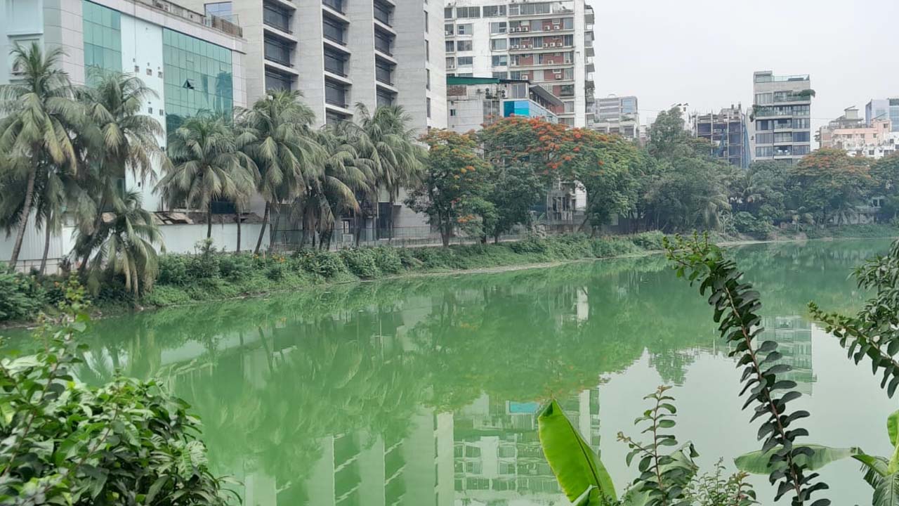 সমন্বয়হীনতায় আটকে আছে গুলশান-বনানী লেকের উন্নয়ন