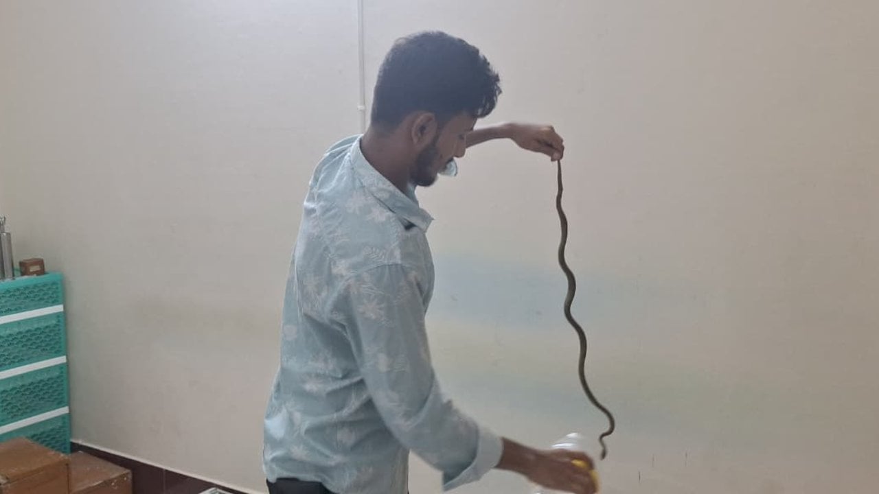 ক্লিনিকের এসিতে মিললো ৪ ফুটের কালনাগিনী সাপ