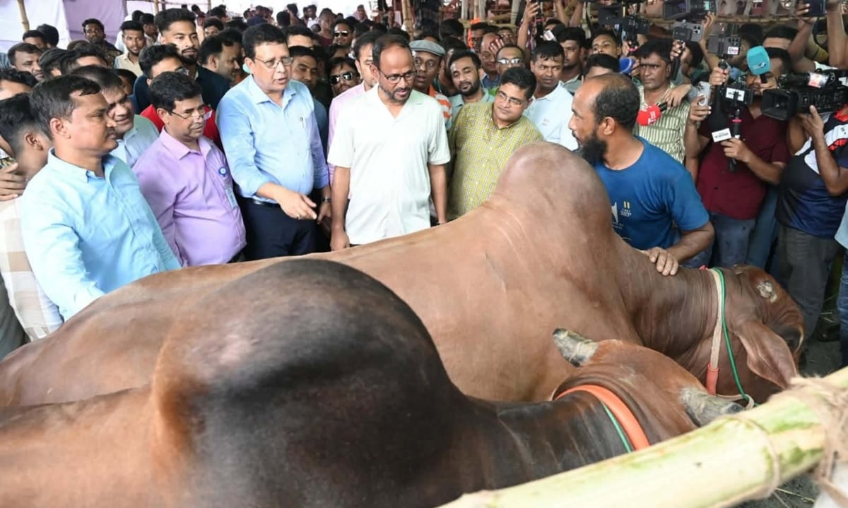 আমদানির প্রয়োজন নেই, দেশে  পর্যাপ্ত পশু আছে: প্রাণিসম্পদ প্রতিমন্ত্রী