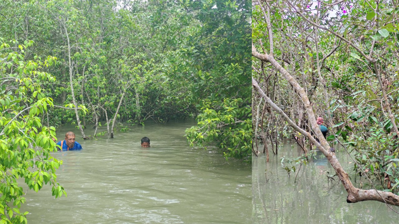 সুন্দরবনের সংরক্ষিত এলাকায় অবাধে চলছে মাছ-কাঁকড়া শিকার