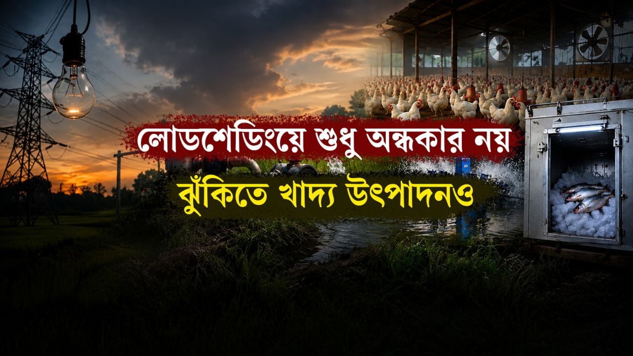 যে লোডশেডিং অন্ধকারের সঙ্গে ফেলছে খাদ্য ঝুঁকিতে