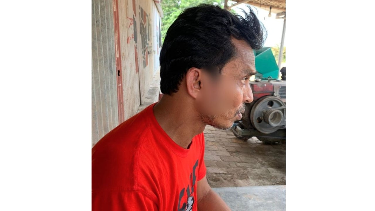 শিমুল ১