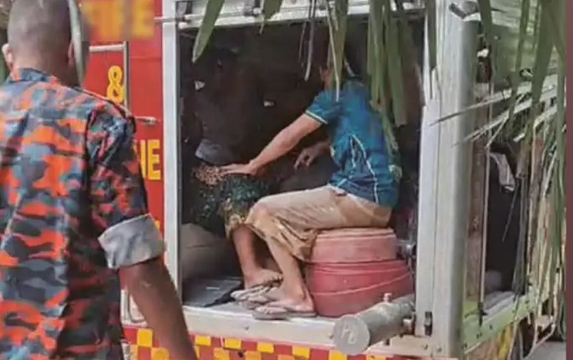 পতাকা টাঙাতে গিয়ে গাছে উঠে অচেতন পর্তুগাল সমর্থক