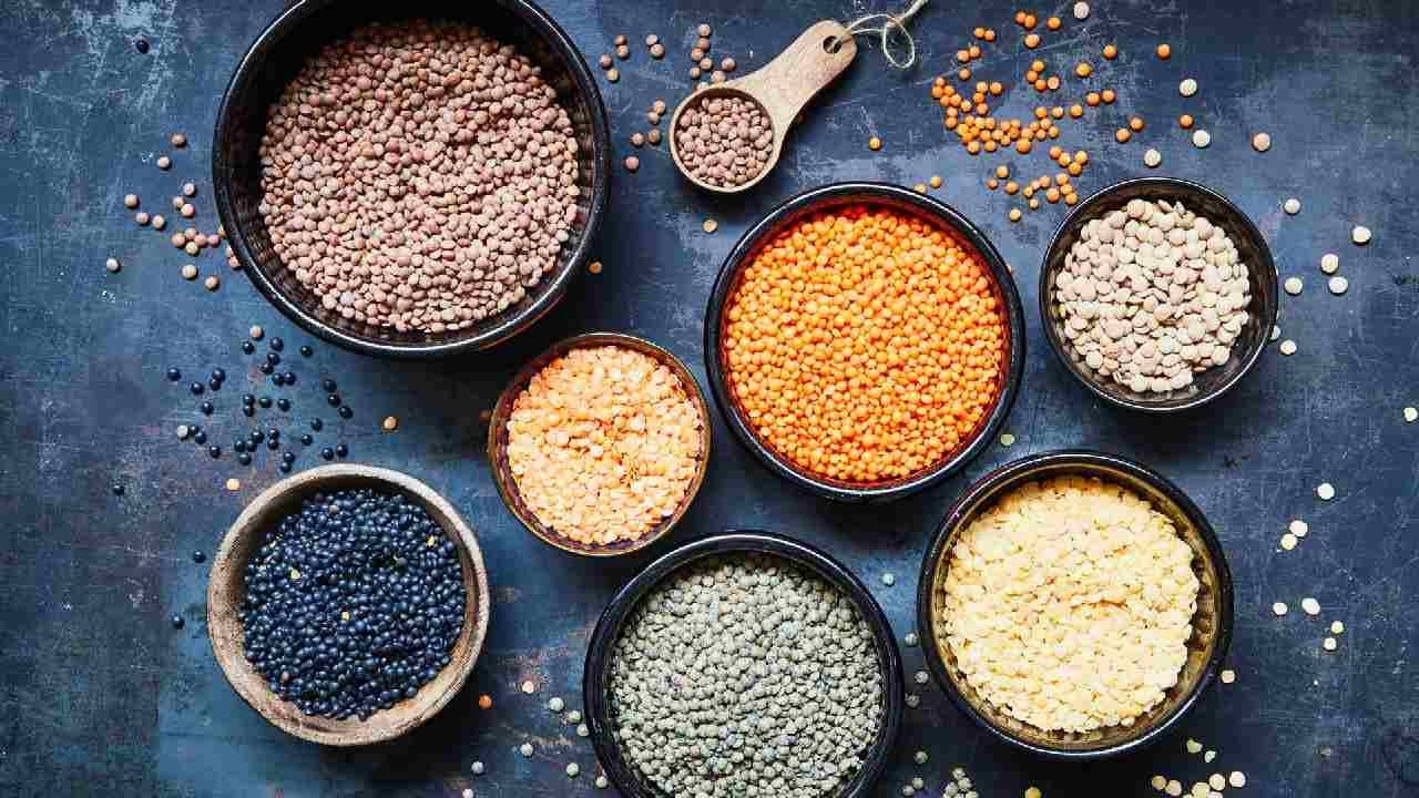 কোন ডালে বেশি প্রোটিন
