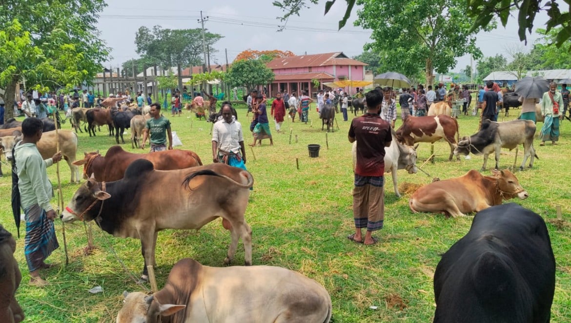 হাটে ক্রেতার অপেক্ষায় খামারিরা।