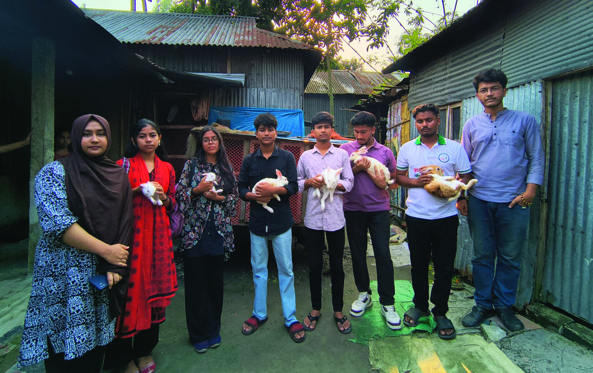 রিলস বানাতে বিড়াল দিয়ে খরগোশ নির্যাতন