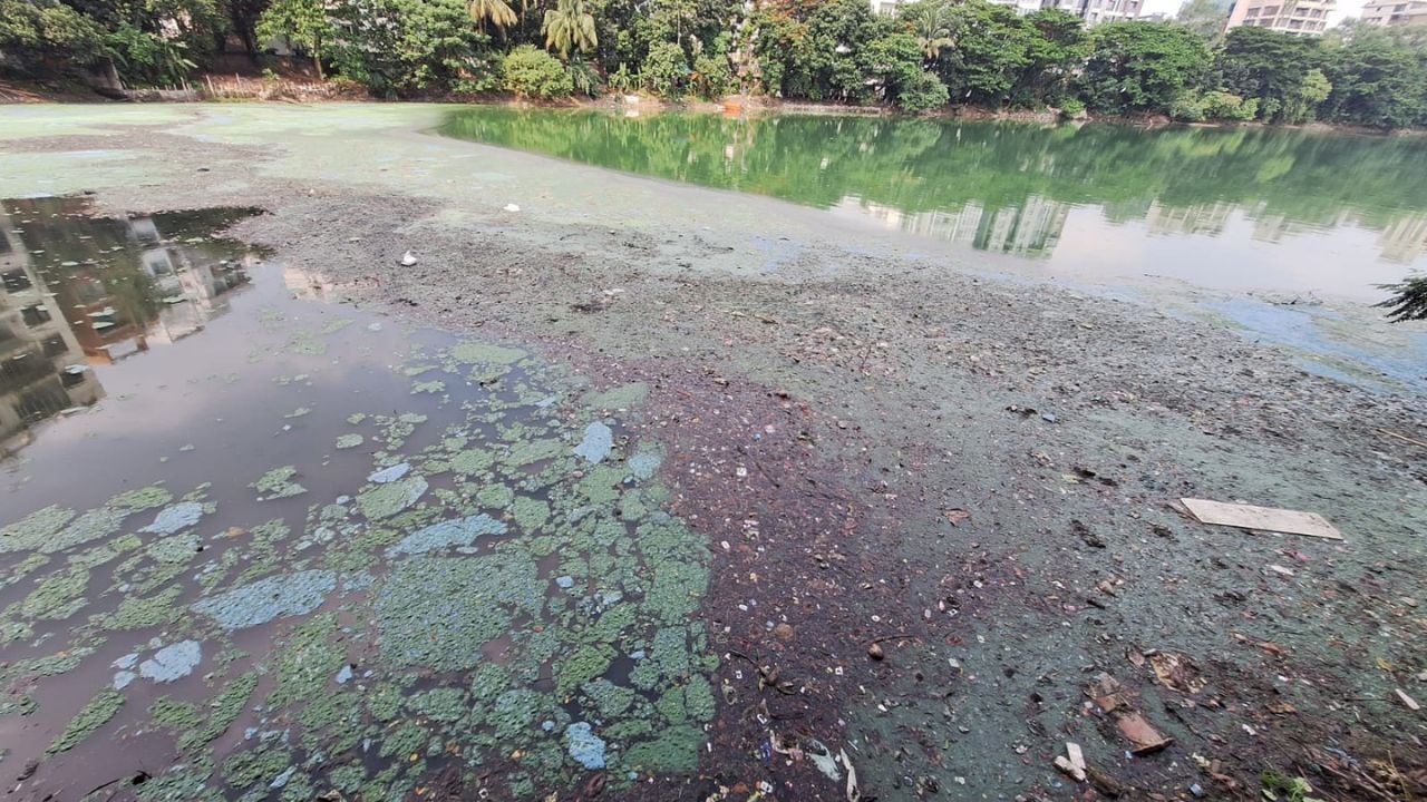 গুলশান লেক