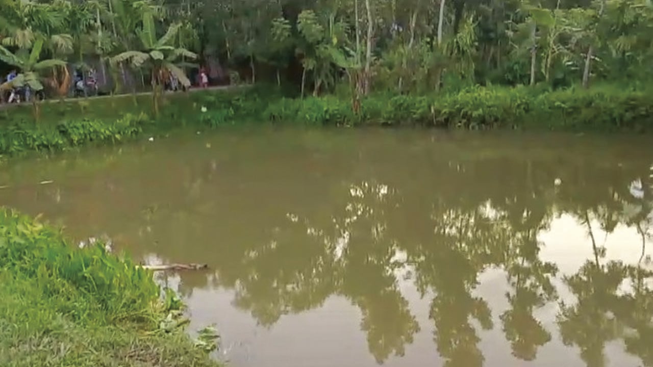 নানা বাড়িতে বেড়াতে এসে পানিতে ডুবে ৩ শিশুর মৃত্যু