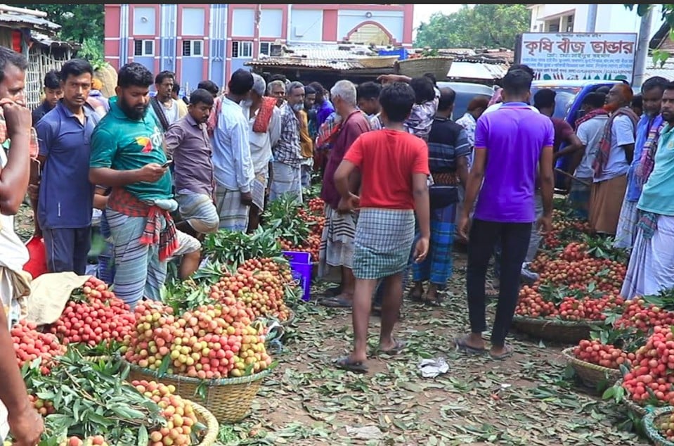 যে হাটে প্রতিদিন বিক্রি হয় দেড় কোটি টাকার লিচু