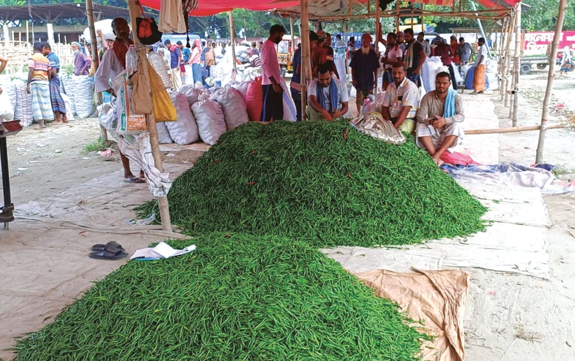 দাম বেড়েছে কাঁচা মরিচের, স্বস্তিতে চাষিরা