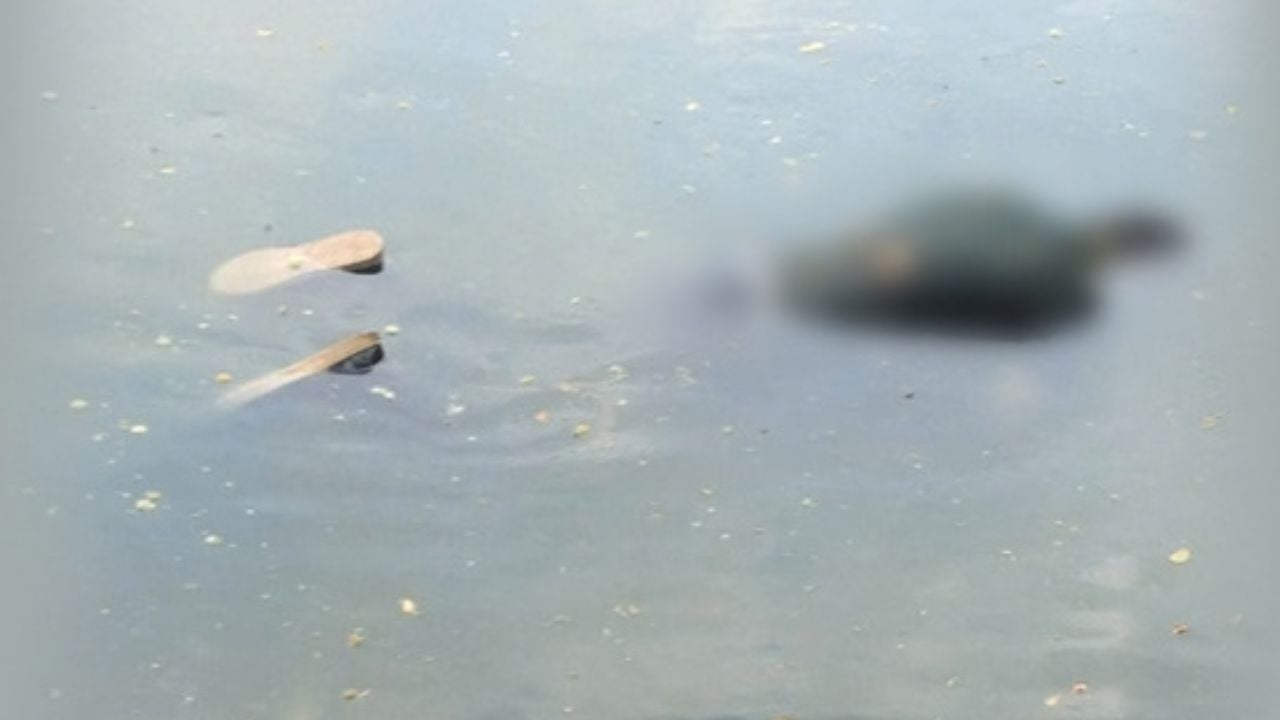 ধানমন্ডি লেকে ভাসছিলো মরদেহ, ফোন পেয়ে শনাক্ত করলেন স্ত্রী