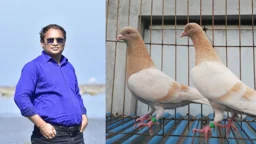 সাদিয়াকে বাঁচাতে শখের কবুতর বিক্রি করছেন তিতুমীরের শিক্ষক