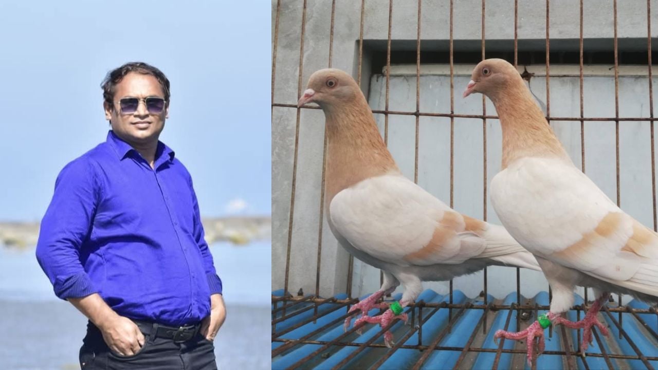 সাদিয়াকে বাঁচাতে শখের কবুতর বিক্রি করছেন তিতুমীরের শিক্ষক