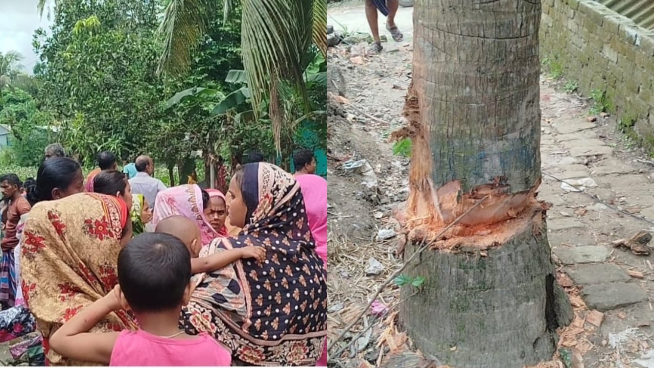 মনোহরদীতে গাছ কাটা নিয়ে স্বেচ্ছাসেবকদল নেতাকে হত্যা