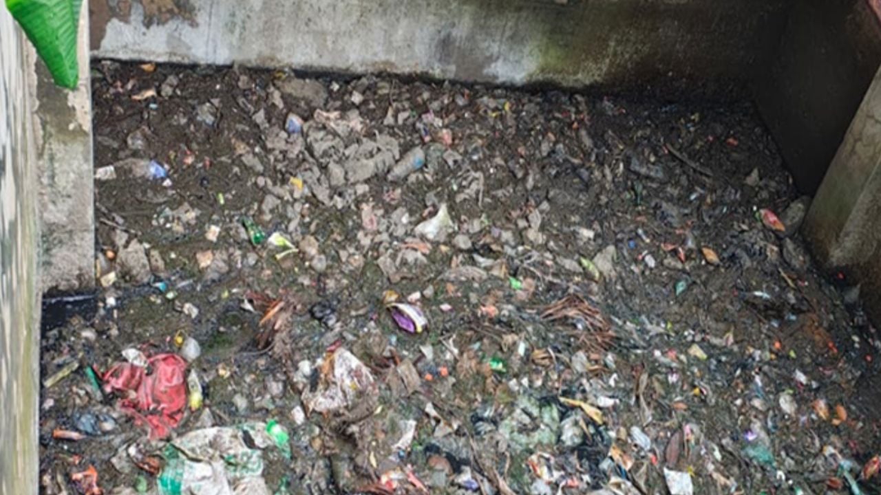 ১২ পথে গুলশান লেকে ঢুকছে বাসাবাড়ির পয়ঃবর্জ্য (2)