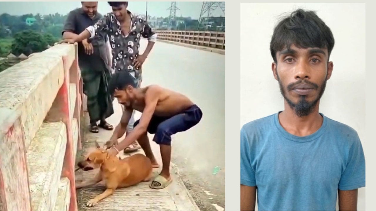 কুকুরের গলায় ইট বেঁধে নদীতে ফেলা তরুণ আটক