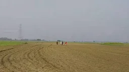 সীমান্তে ৪ ভারতীয় নাগরিককে পুশইনের চেষ্টা রুখে দিলো বিজিবি