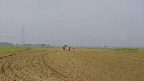 সীমান্তে ৪ ভারতীয় নাগরিককে পুশইনের চেষ্টা রুখে দিলো বিজিবি