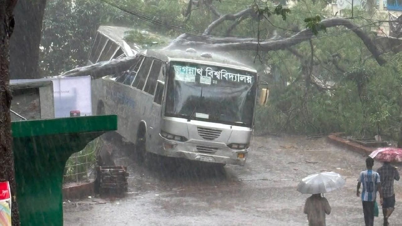 জবিতে বাসের উপর ভেঙ্গে পড়ল বিশাল গাছ