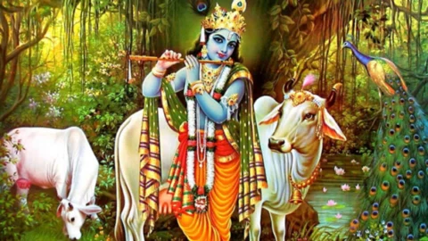 শুভ জন্মাষ্টমী আজ