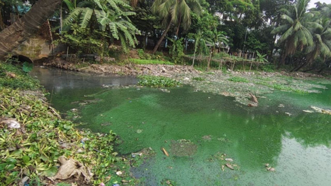 ১২ পথে গুলশান লেকে ঢুকছে বাসাবাড়ির পয়ঃবর্জ্য