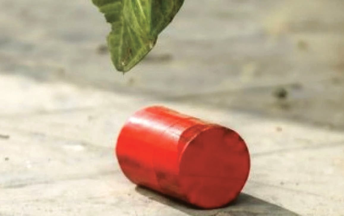 বিএনপি অফিসের সামনে থেকে ককটেল উদ্ধার