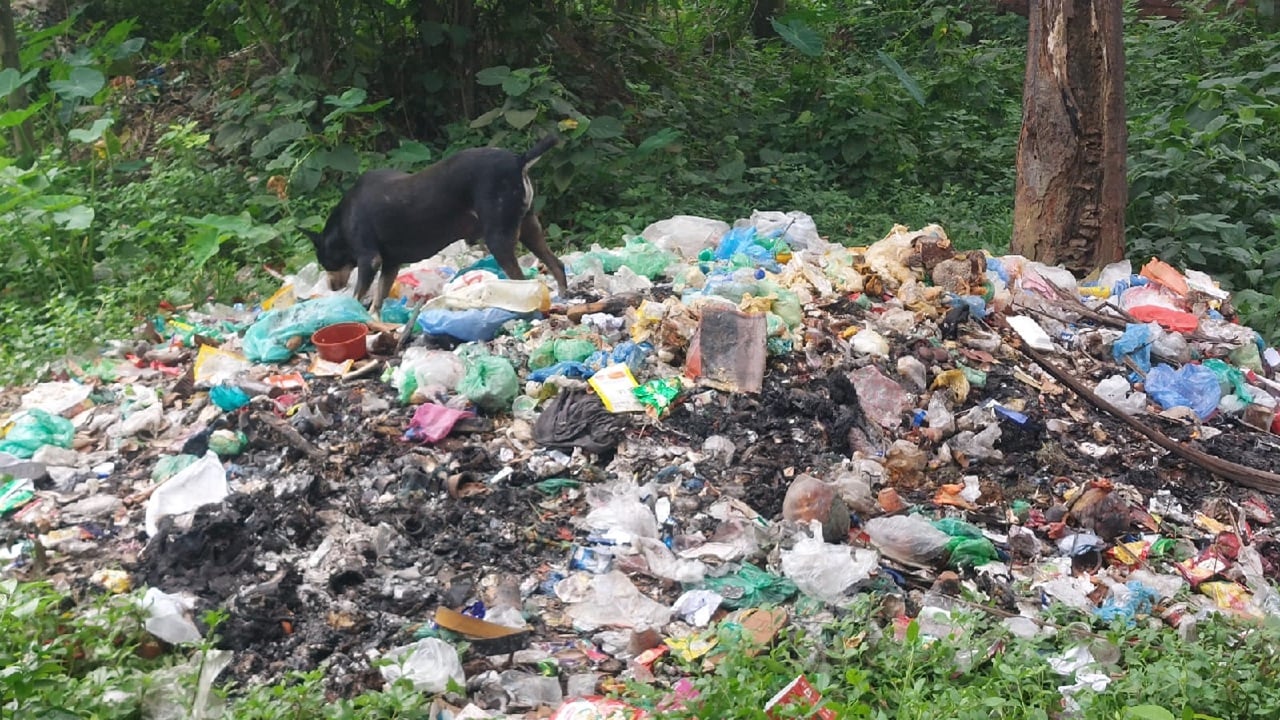 জাহাঙ্গীরনগর বিশ্ববিদ্যালয় 1
